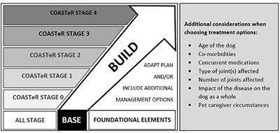 COAST Development Group's international consensus guidelines for the treatment of canine osteoarthritis